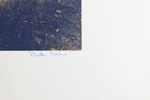 Pieter Celie - compositie met racewagen kopen? Bied vanaf 49!