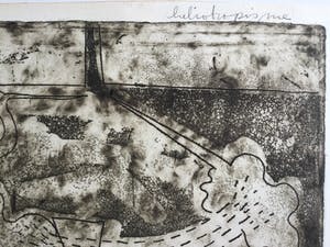 Kees Okx - Heliotropisme | unieke en zeldzame ets (E.A. VII/X) - in bijzondere wissellijst kopen? Bied vanaf 89!