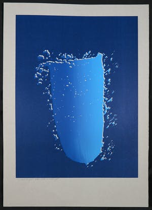 Theo van den Akker - Zeefdruk, Serigrafie kopen? Bied vanaf 1!