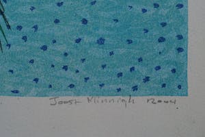 Joost Minnigh - Tropisch zwembad kopen? Bied vanaf 85!