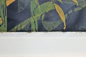 Dianne Bakker - Onleesbaar kopen? Bied vanaf 35!