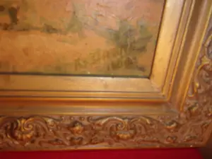 Antoine Daens - Mariene Middellandse Zee Noord-Tunesië. kopen? Bied vanaf 600!