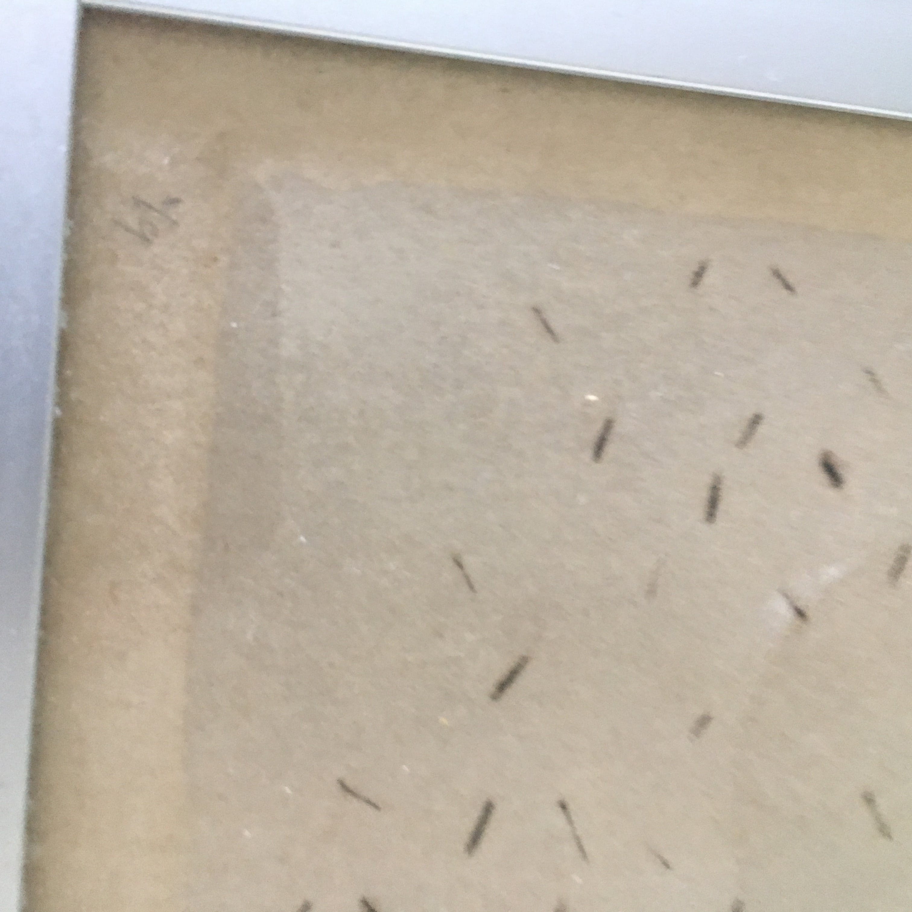 Arno Kramer - Ingekleurde ets, ingelijst. kopen? Bied vanaf 100!