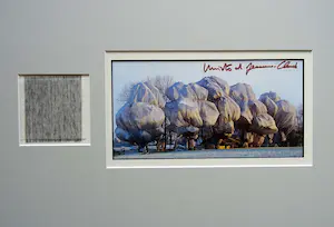 Christo - "Wrapped Trees" 1998 - Riehen - handgesigneerde artcard XXL inc. stofmonster kopen? Bied vanaf 139!