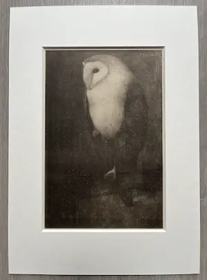 Jan Mankes - Originele Heliogravure Uil op Boomtak 1927 kopen? Bied vanaf 165!