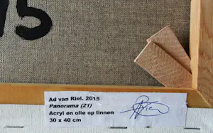 Ad van Riel - Panorama (21) kopen? Bied vanaf 80!