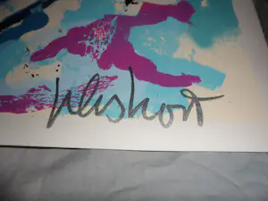 Peter Klashorst - Zeefdruk, Face - hand gesigneerd - 100 ex kopen? Bied vanaf 80!