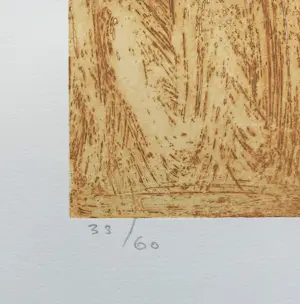 Jan Montyn - Zonneplanten, aquatint ets kopen? Bied vanaf 95!