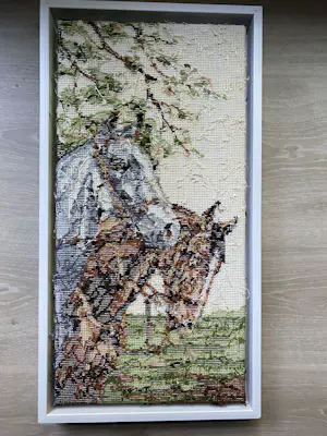 Rob Scholte - Paarden kopen? Bied vanaf 100!