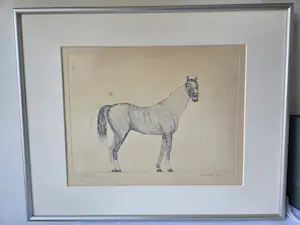 AcheterAat Verhoog - Paard? Enchérissez de 50!