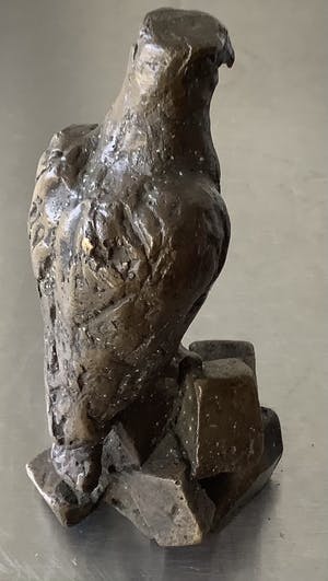 Brons (Onbekend) - Roofvogel kopen? Bied vanaf 150!