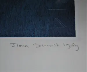 Ilona Schmit - sprookjesachtige scene - ingelijste grote zeefdruk E.A. kopen? Bied vanaf 65!