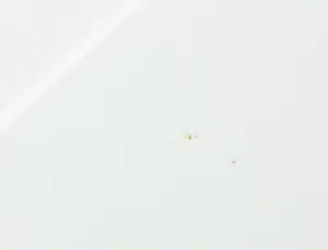 Espen Hagen - Zeefdruk, Geronimo - Ingelijst kopen? Bied vanaf 80!