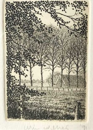 Wim van der Meij - Bomen kopen? Bied vanaf 10!