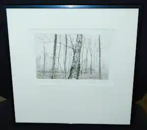 Han van Hagen - Imbos (Nationaal Park Veluwezoom) - ets 1989 verkauft für € 50!