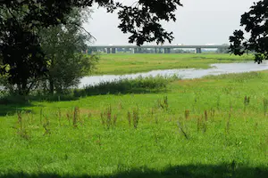Thijs Mauve - Houtgravure - Winterlandschap aan de Nederrijn kopen? Bied vanaf 40!