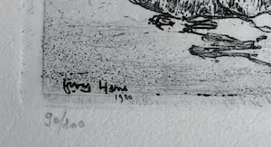 Frans Hens - Faire de la Voile kopen? Bied vanaf 30!