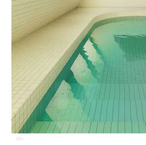 Mr. Strange - La Piscine de l'Hôtel kopen? Bied vanaf 75!