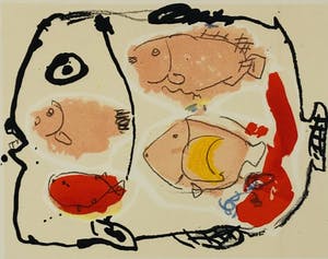 Kees Salentijn - vier-in één vis kopen? Bied vanaf 45!