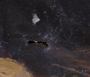 Jan Michels - Olieverf op doek, Stilleven kopen? Bied vanaf 1!