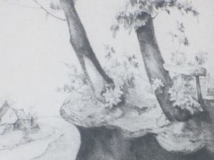 Dirk Kruizinga - Bomen bij gehucht - Ets kopen? Bied vanaf 1!