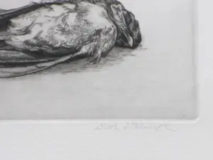 AcheterDick Stolwijk - Dood vogeltje - Ets? Enchérissez de 55!
