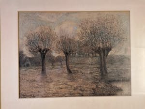 Theo Goedvriend - Knotwilgen in het landschap kopen? Bied vanaf 75!