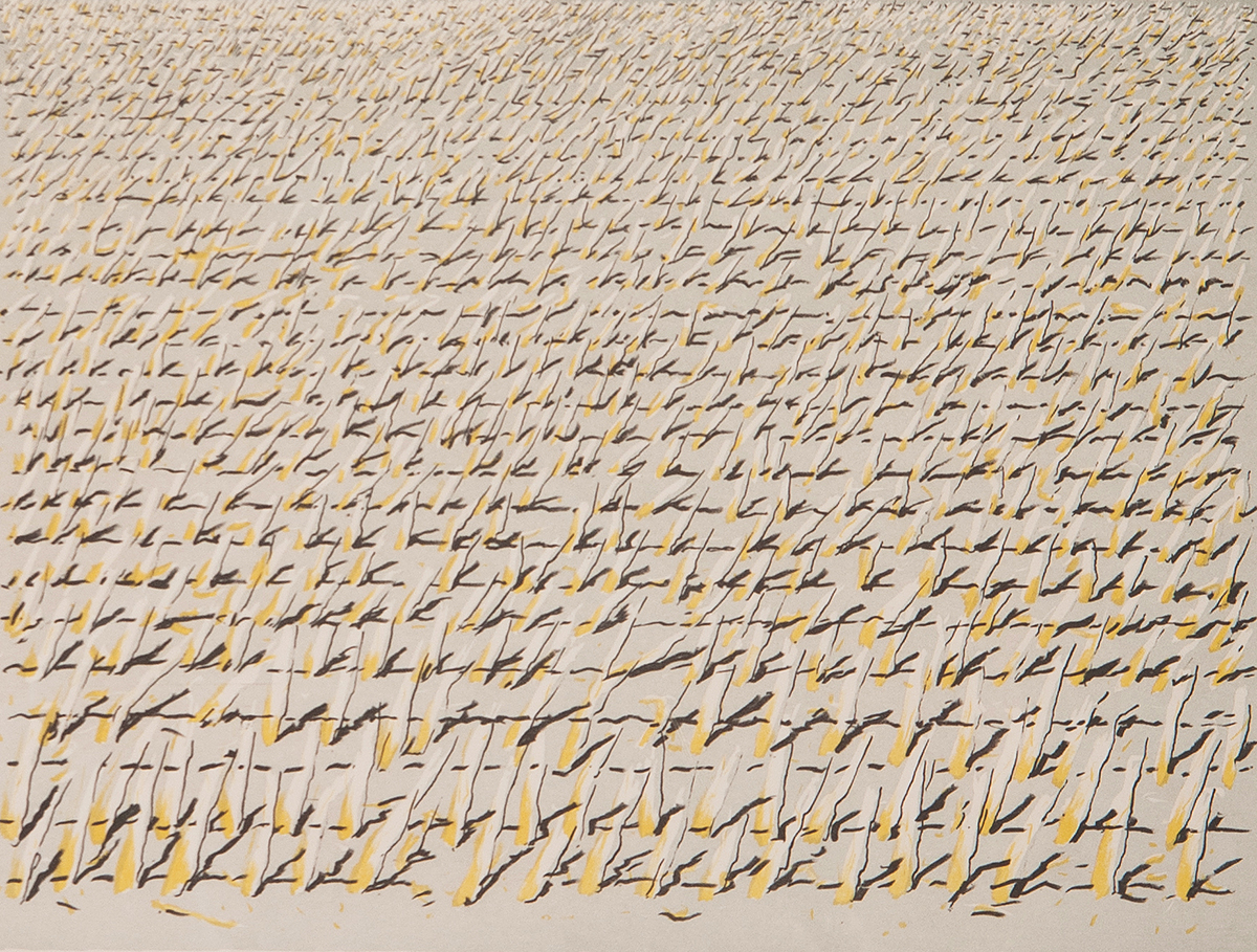 Jan Hein van Rooy - Westakker - Litho - gesigneerd r.o. - oplage 39/50 ex. - 1991 kopen? Bied vanaf 10!