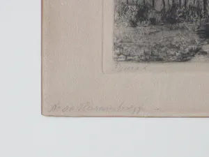 Suze de Lint - Heezenerbosch - Ets kopen? Bied vanaf 35!