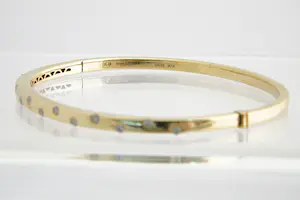 NV (133)- Elegante 18 Krt goud & diamanten (0.35ct) dames-armband - ovaal model kopen? Bied vanaf 730!