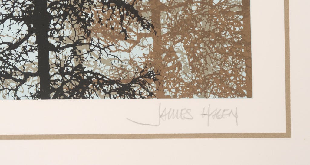 James Hagen - James Hagen: Zeefdruk, Snow Cap kopen? Bied vanaf 35!