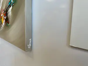 Gena - Seeing the Light kopen? Bied vanaf 199!