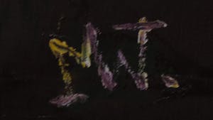 Martin van Wordragen - Olieverf op doek, Dartel veulen - Ingelijst (Groot) kopen? Bied vanaf 250!