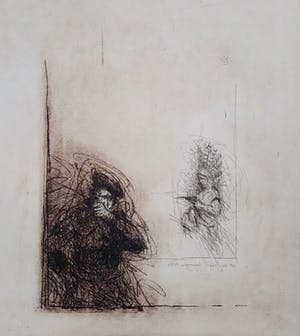 Ronald Tolman - Uit een jeugd, aquatint ets (groot, zeldzaam, volledig gedocumenteerd) kopen? Bied vanaf 1!