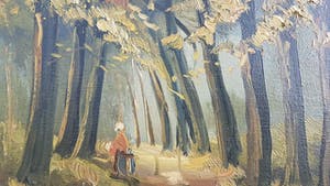 Jan Kelderman - Bosgezicht bij Garderen kopen? Bied vanaf 45!