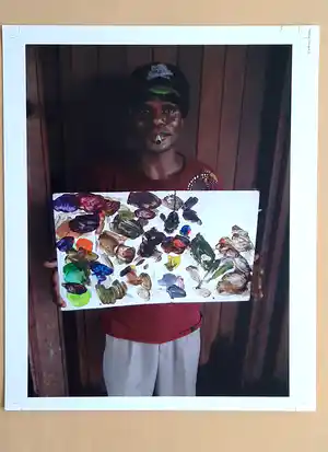 Roy Villevoye - "PALETTE" verkocht voor € 299!