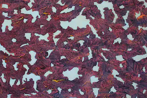 Ad van Riel - Zonder titel (16/1) kopen? Bied vanaf 125!