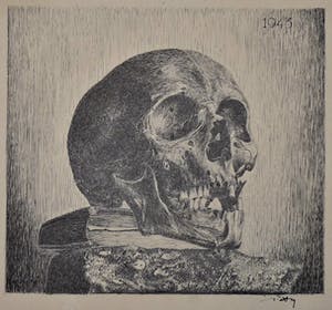 Wim Motz - Schedel op boek kopen? Bied vanaf 35!