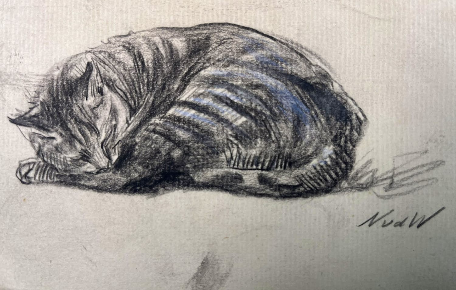 Nicolaas van der Waay - Tekening van een slapende kat kopen? Bied vanaf 60!