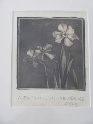 Anna Egter van Wissekerke - narcissen kopen? Bied vanaf 50!