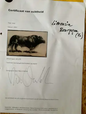 Nico Vrielink - Stier UNICA‼️ kopen? Bied vanaf 299!