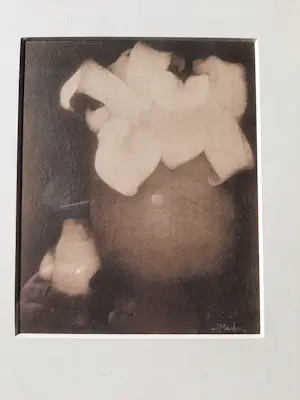 Jan Mankes - Originele Heliogravure , Aronskelken 1923 kopen? Bied vanaf 60!