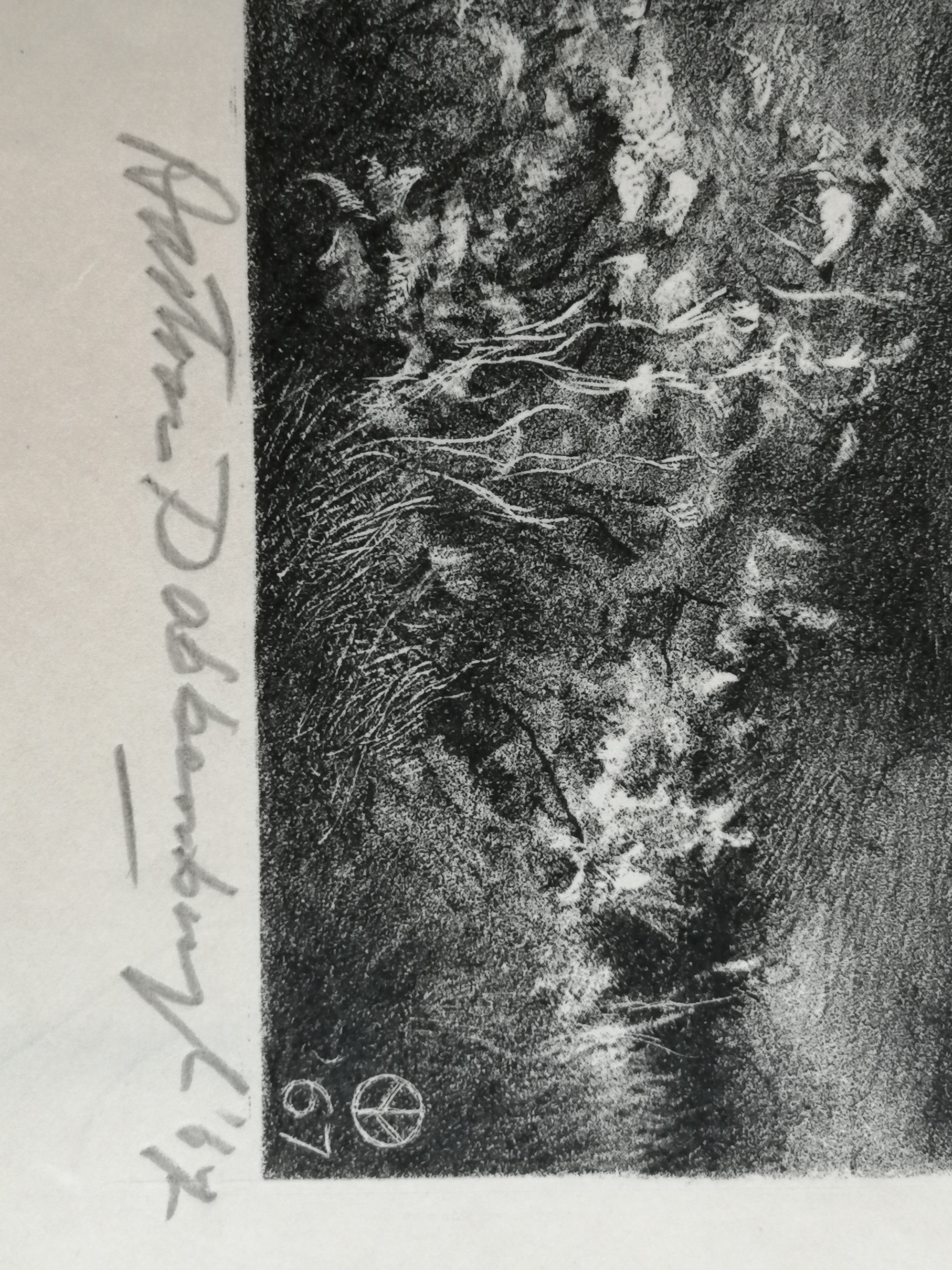 Aart van Dobbenburgh - Ezel in landschap kopen? Bied vanaf 25!