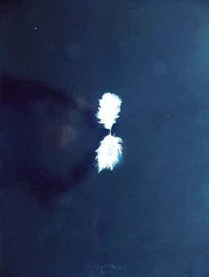 Henk Peeters - Het veertje verkocht voor € 255!