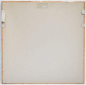 Theo Koster - Indian Dreams - Ingelijst kopen? Bied vanaf 50!