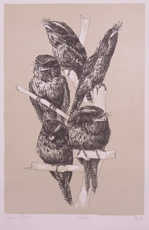 Peter Vos - Litho, Podargus Strigoides kopen? Bied vanaf 1!