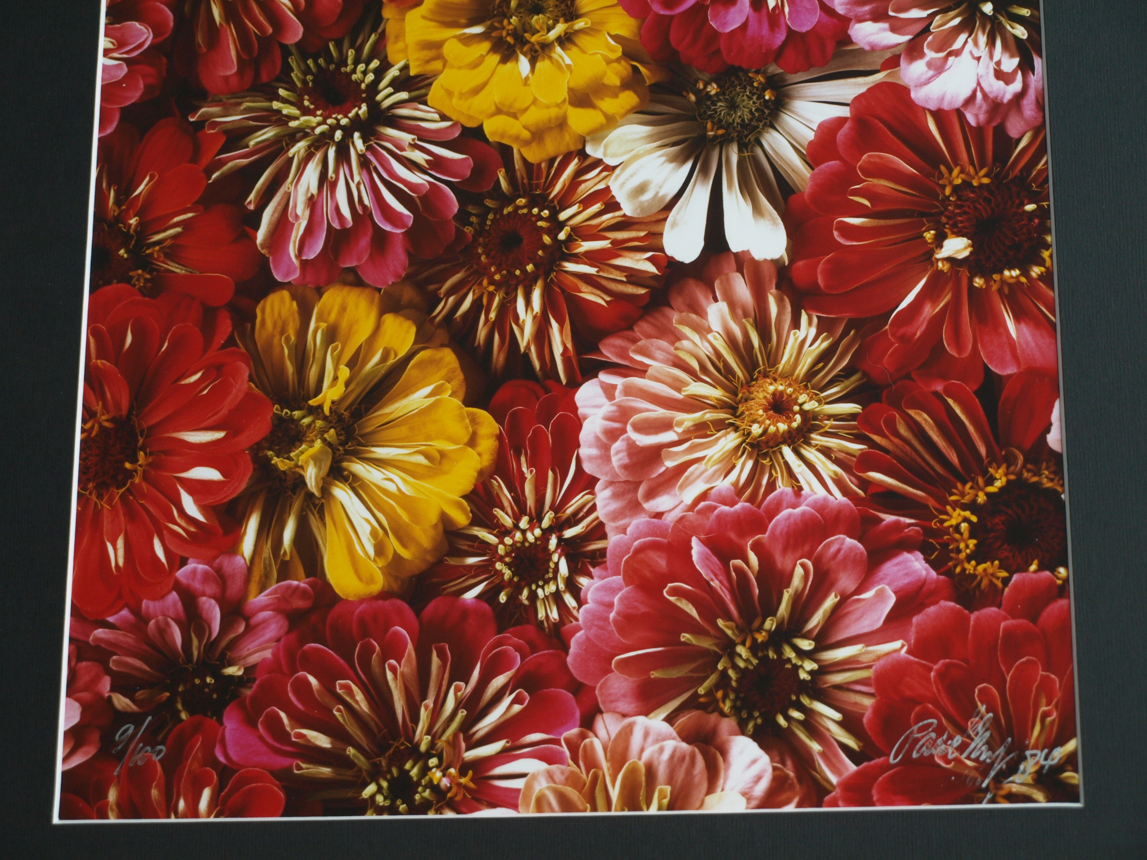 Paul Huf - Foto , Flowers , Bloemen – gesigneerd & ingelijst - 1984 - 60 x 50 cm kopen? Bied vanaf 75!