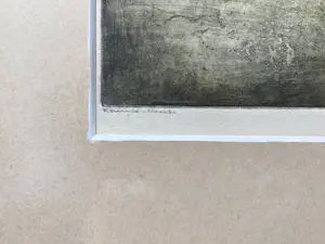 Ronnie Meerts - “Met mijn familie op het strand in 1925” kopen? Bied vanaf 75!