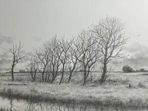 Harmen Kooistra - Landschap kopen? Bied vanaf 75!