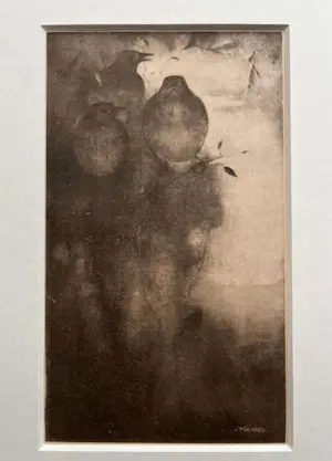 Jan Mankes - Originele Heliogravure Lijsters in Avondstemming 1923 kopen? Bied vanaf 115!